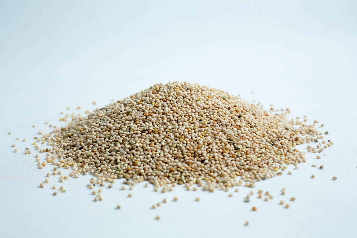 Sterile Grain Bag — Compact (1 kg)