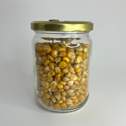 Sterile Organic Grain Jar for Mushroom Spawn Production