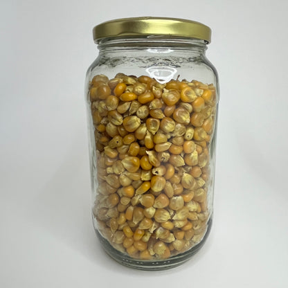 Sterile Organic Grain Jar for Mushroom Spawn Production