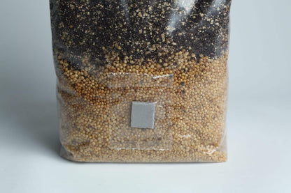 All In One Grow Bag — Large